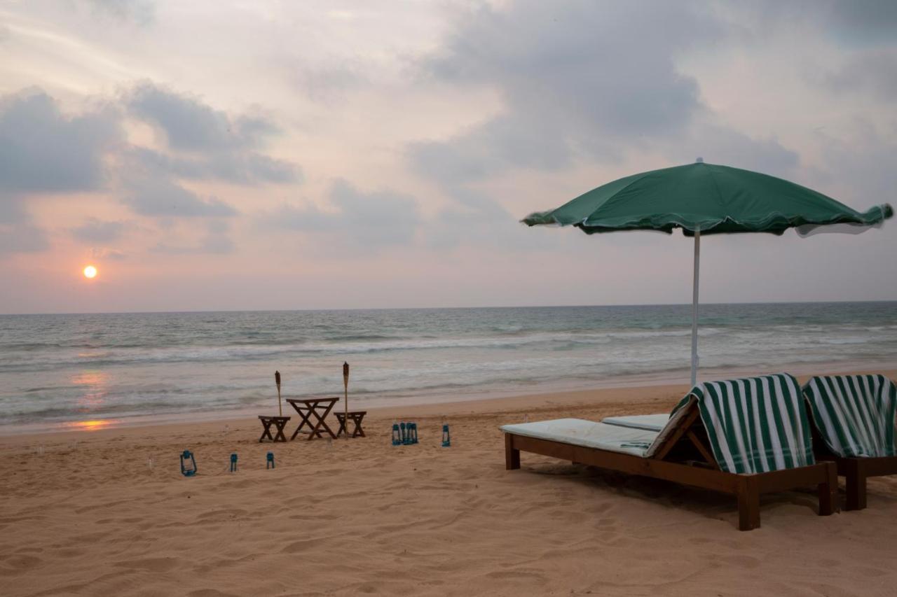 Palm Beach Inn & Sea Shells Cabanas Bentota Exteriör bild