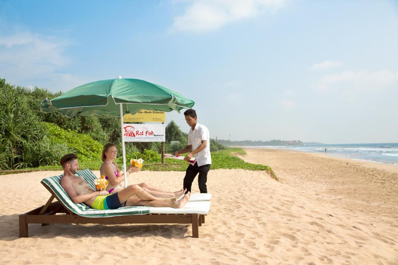 Palm Beach Inn & Sea Shells Cabanas Bentota Exteriör bild